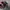Nike Gorpcore Casual Sneakers Pria red black photo 6