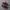 Nike Gorpcore Casual Sneakers Pria red black photo 3