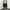 Unknown Baggy Carpenter short photo 2