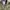 Devastate photo 2