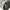 Vintage BDU Woodland Camo Pattern By PROPPER