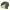 Vintage BDU Woodland Camo Pattern By PROPPER