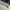 Vintage BDU Woodland camo pattern by PROPPER photo 5