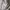 Uniqlo Streetwear Skater Sweater Wanita tan brown photo 2