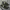 Timberland Gorpcore Casual Sneakers Pria black yellow photo 3