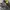 Timberland Gorpcore Casual Sneakers Pria black yellow photo 2
