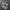Nike Gorpcore Sportswear Sneakers Pria white gray photo 3