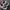 Nike Gorpcore Sportswear Sneakers Pria white gray photo 6