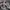 Nike Gorpcore Sportswear Sneakers Pria white gray photo 4