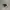 Converse Star Player photo 2