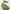 [Termurah] Sneakers - Hoka X Satisfy Mafate 4 Lite Green