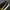 Puma Indie Casual Sneakers Pria black yellow photo 5