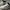 Nike Sportswear Casual Sneakers Pria white navy photo 2