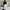 Y2K Emo Sweatshirt Wanita black photo 4