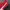 Puma Indie Casual Sneakers Pria white red photo 5