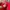 Puma Indie Casual Sneakers Pria white red photo 8
