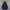 Uniqlo Streetwear Sportswear Puffer jacket Wanita navy photo 2