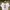 Japanese brand Vintage T-shirt Pria white photo 2
