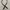Brooks brother leather belt photo 1