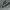 ♱ Converse Chuck Taylor Sidney XHI photo 7