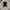 Polo Ralph Lauren Casual Polo Shirt Pria Black