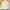 Moncler Palm Angels Bulu Angsa Puffer Jacket Shiny Light Glo