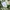 Libre shirt bleaching abstrack boxy crop photo 6