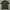 POLO SHIRT USPA ASSN