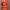 Topshop Streetwear Casual Casual dress Wanita pink orange photo 1