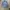 Yves Saint Laurent YSL Casual Baju muslim Wanita blue photo 7