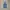 XEROBNR SELVEDGE JEANS photo 4