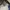BIGTRAIN DISTRESSEE JEANS photo 10
