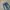 BIGTRAIN DISTRESSEE JEANS photo 2