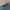 BIGTRAIN DISTRESSEE JEANS photo 8