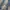 BIGTRAIN DISTRESSEE JEANS photo 4