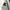 Kolon Sport Sportswear Puffer jacket Pria white gray photo 8