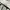 Kolon Sport Sportswear Puffer jacket Pria white gray photo 7
