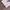 Y2K QUASH DOUBLE LAYER GRUNGE photo 6