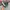 Nike Air Max 95 Big Bubble Seongsu photo 2