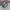 Nike Air Max 95 Big Bubble Light Violet Ore Velvet Brown photo 3