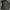 OLIVE RIB KNIT SWEATER photo 5