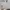 NIKE AIR FORCE 1 REACT (OLD STOCK) photo 4