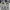 NIKE AIR FORCE 1 REACT (OLD STOCK) photo 3