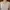 Alphabet club Coquette Minimalist Crop top Wanita white photo 2