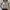 Y2K Indie Crop top Wanita white green photo 2