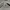 Jacket Burberry Luxury Authentic photo 7