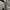 Jacket Burberry Luxury Authentic photo 3