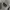 Jacket Burberry Luxury Authentic photo 2