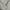Vintage Windbreaker Pria white photo 5