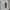 Vintage Windbreaker Pria white photo 7